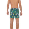 Boxer Mare Hom - immagine 2