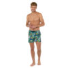 Boxer Mare Hom