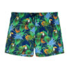 Boxer Mare Hom - immagine 3